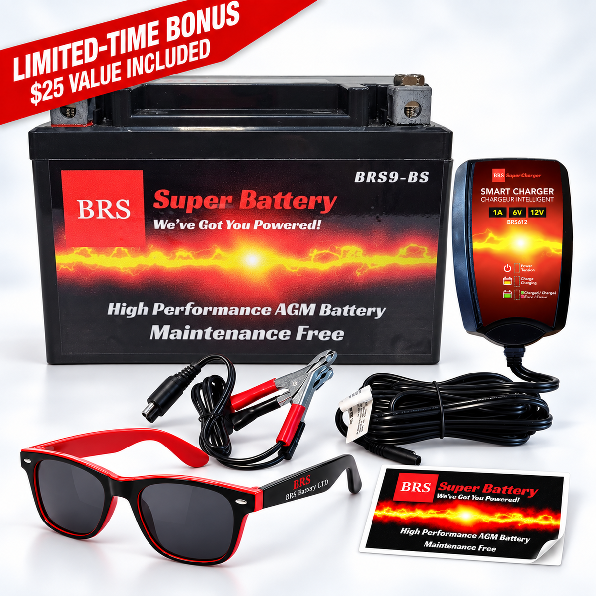 BRS9-BS 30 Day Warranty Battery & Smart Charger / Maintainer Combo Bundle Kit