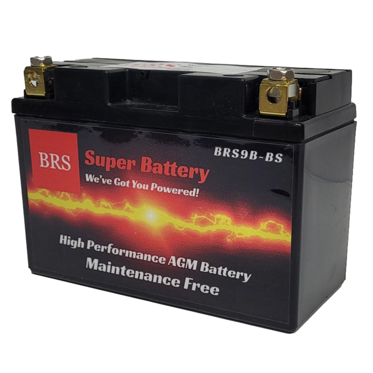 BRS9B-BS 30 Day Warranty Battery & Smart Charger / Maintainer Combo Bundle Kit