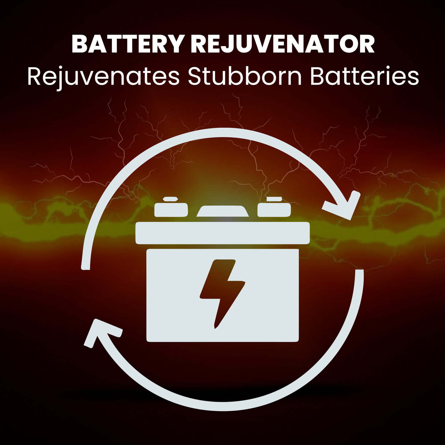 BRS Super Charger BRS612 - 6V/12V Trickle Charger - Battery Maintainer & Rejuvenator