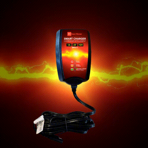 BRS Super Charger BRS612 - 6V/12V Trickle Charger - Battery Maintainer & Rejuvenator