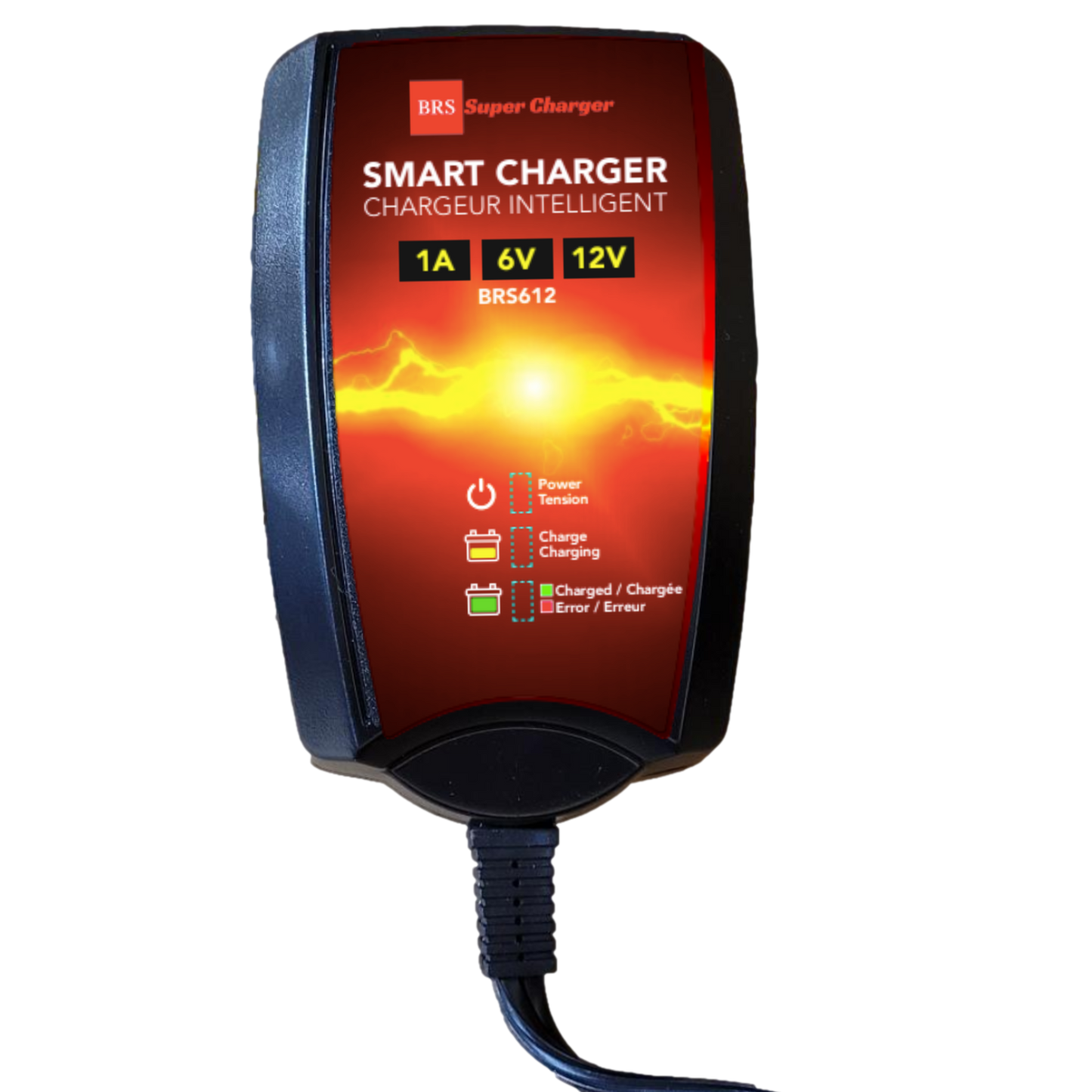 BRS24HL-BS 30 Day Warranty Battery & Smart Charger / Maintainer Combo Bundle Kit