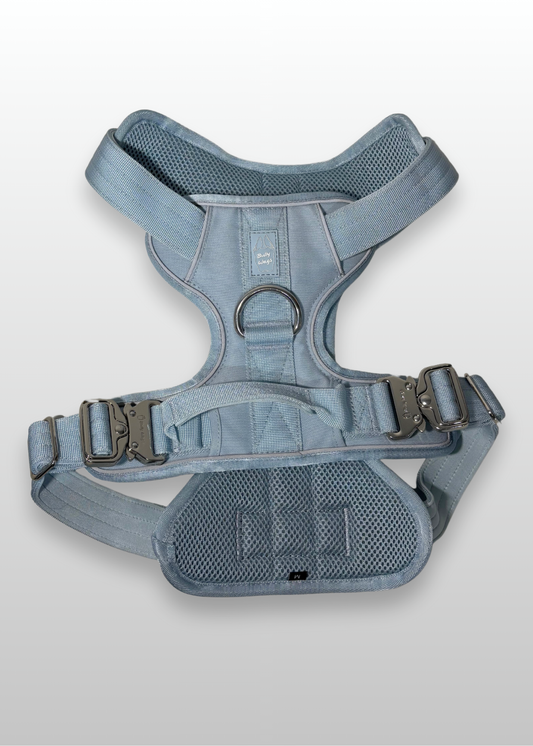 Heavy-Duty Everyday Harness - Baby Blue