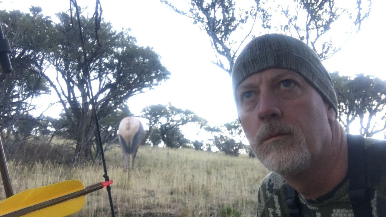 Montana Decoy Back Country Elk