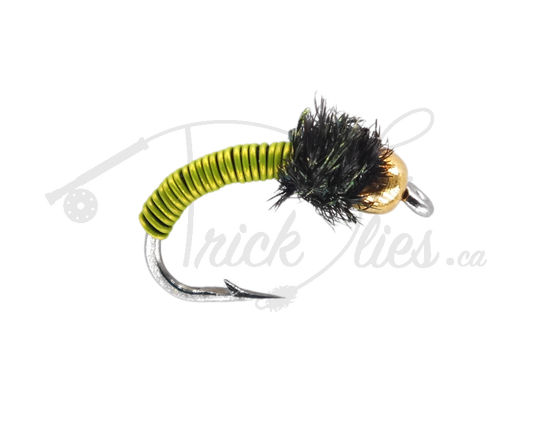 Beadhead Brassie Chartreuse