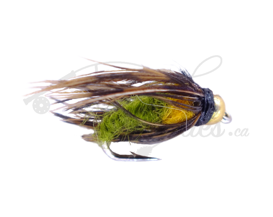 Beadhead Caddis Pupa