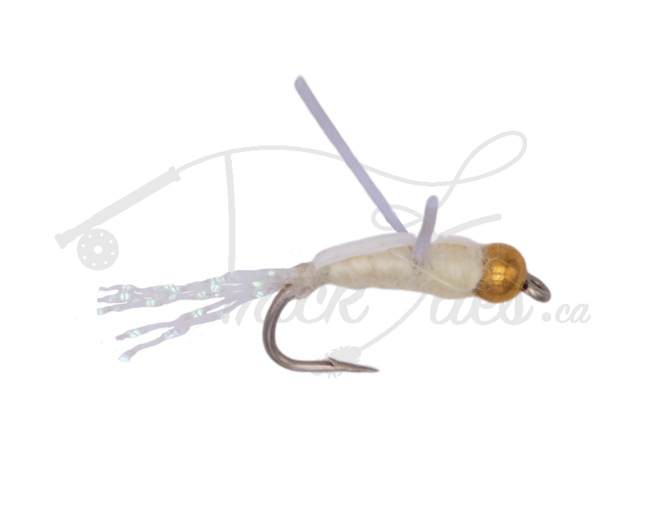 Beadhead Water Boatman Cream