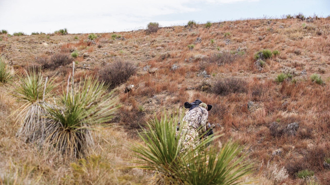 Montana Decoy Bessie Moo Cow