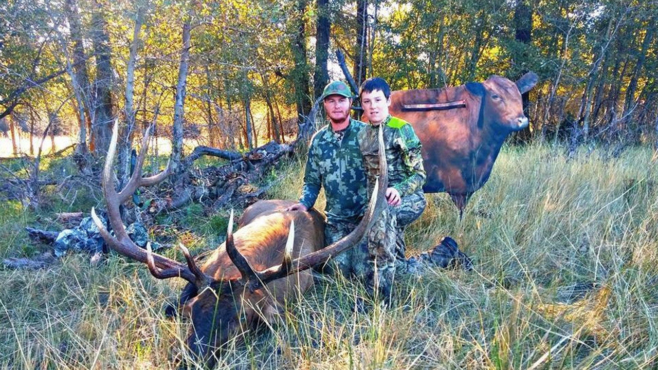 Montana Decoy Big Red Moo Cow Decoy