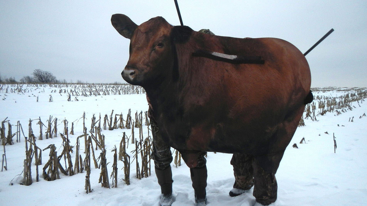 Montana Decoy Big Red Moo Cow Decoy