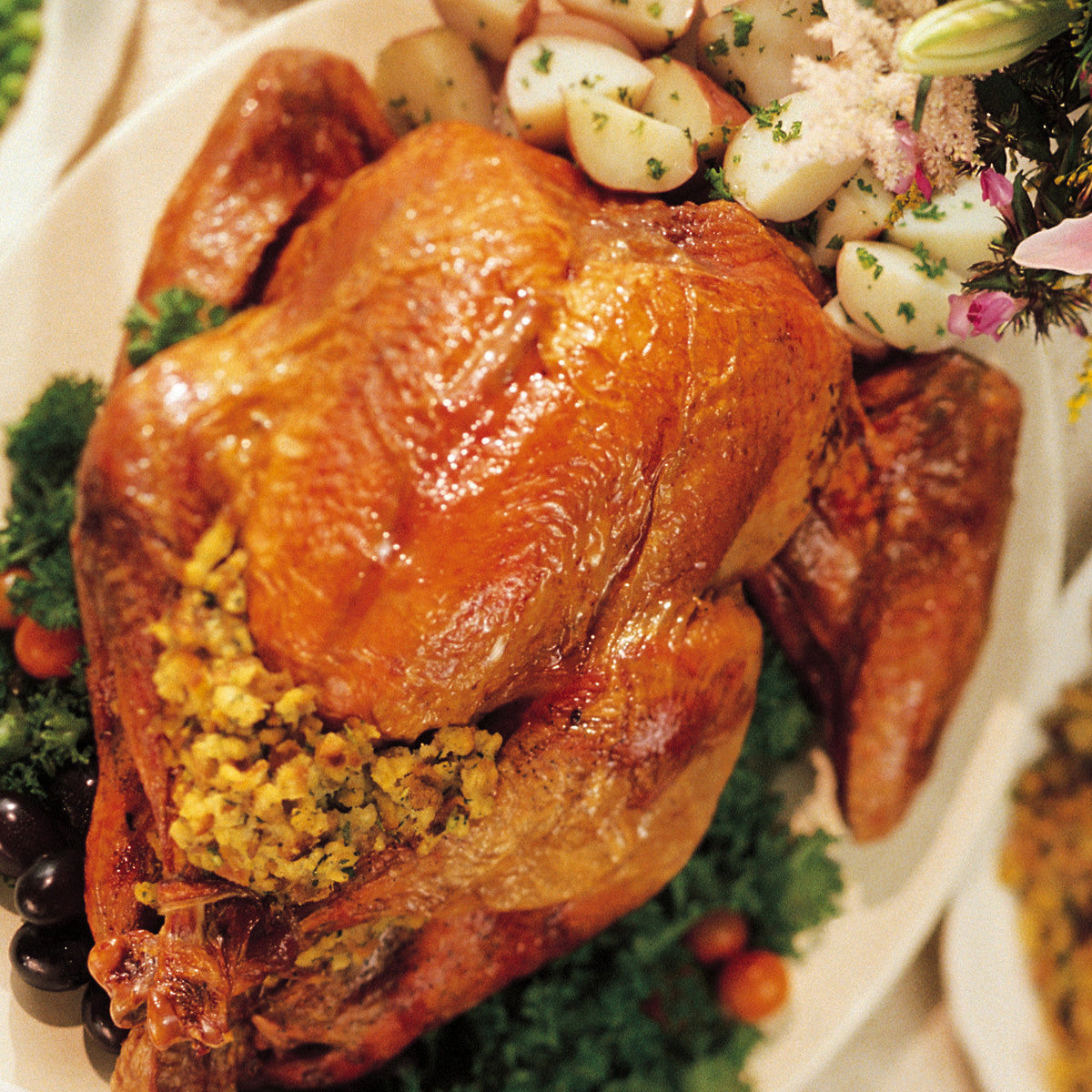 Hi Mountain Game Bird & Poultry Brine Mix