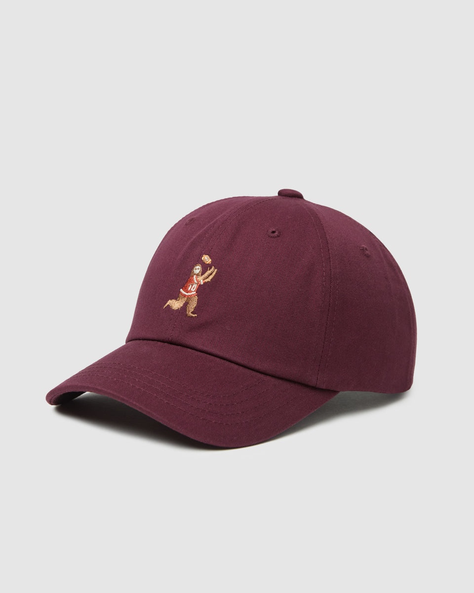 Sasquatch Peak Hat