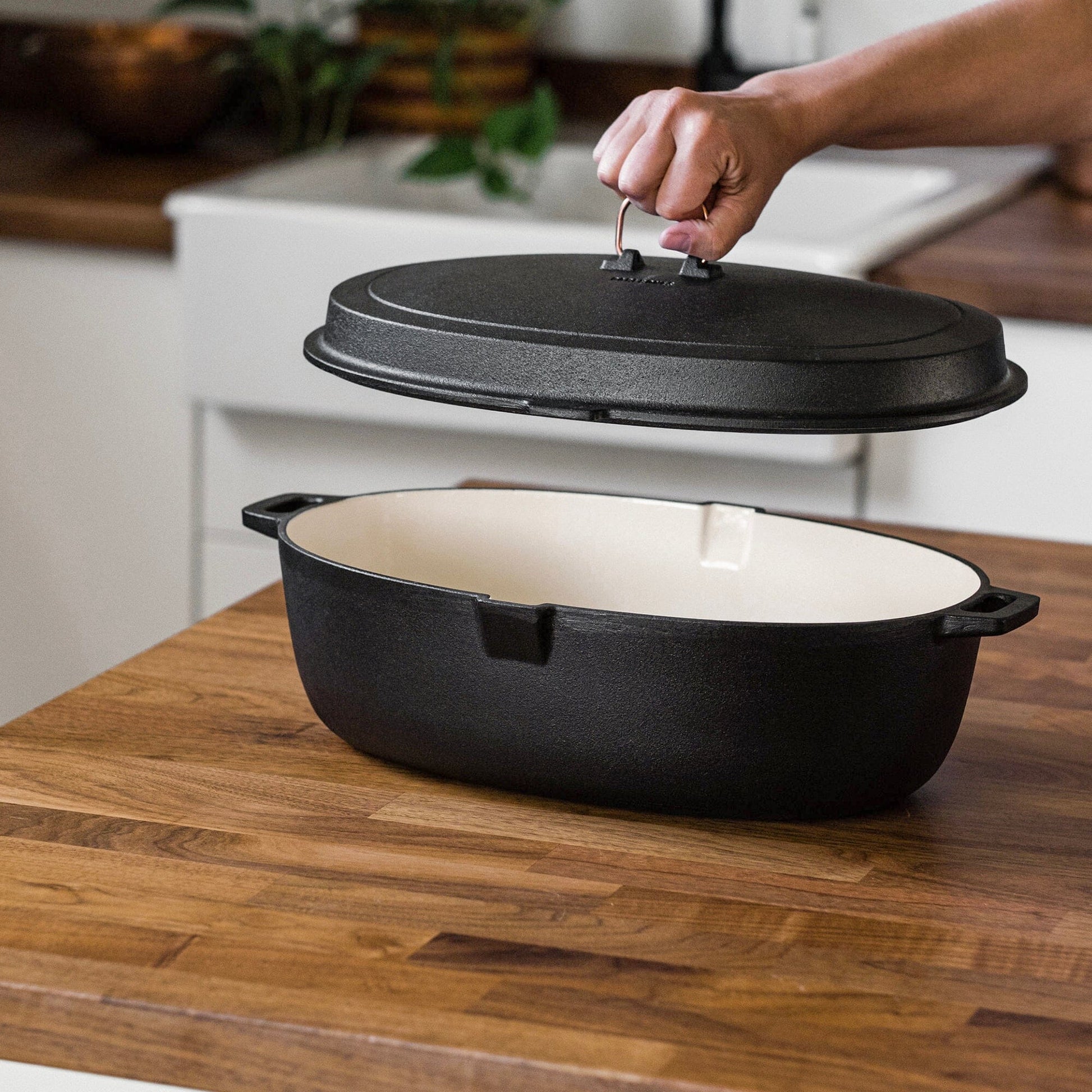 Enamel Lined Cast Iron Roaster
