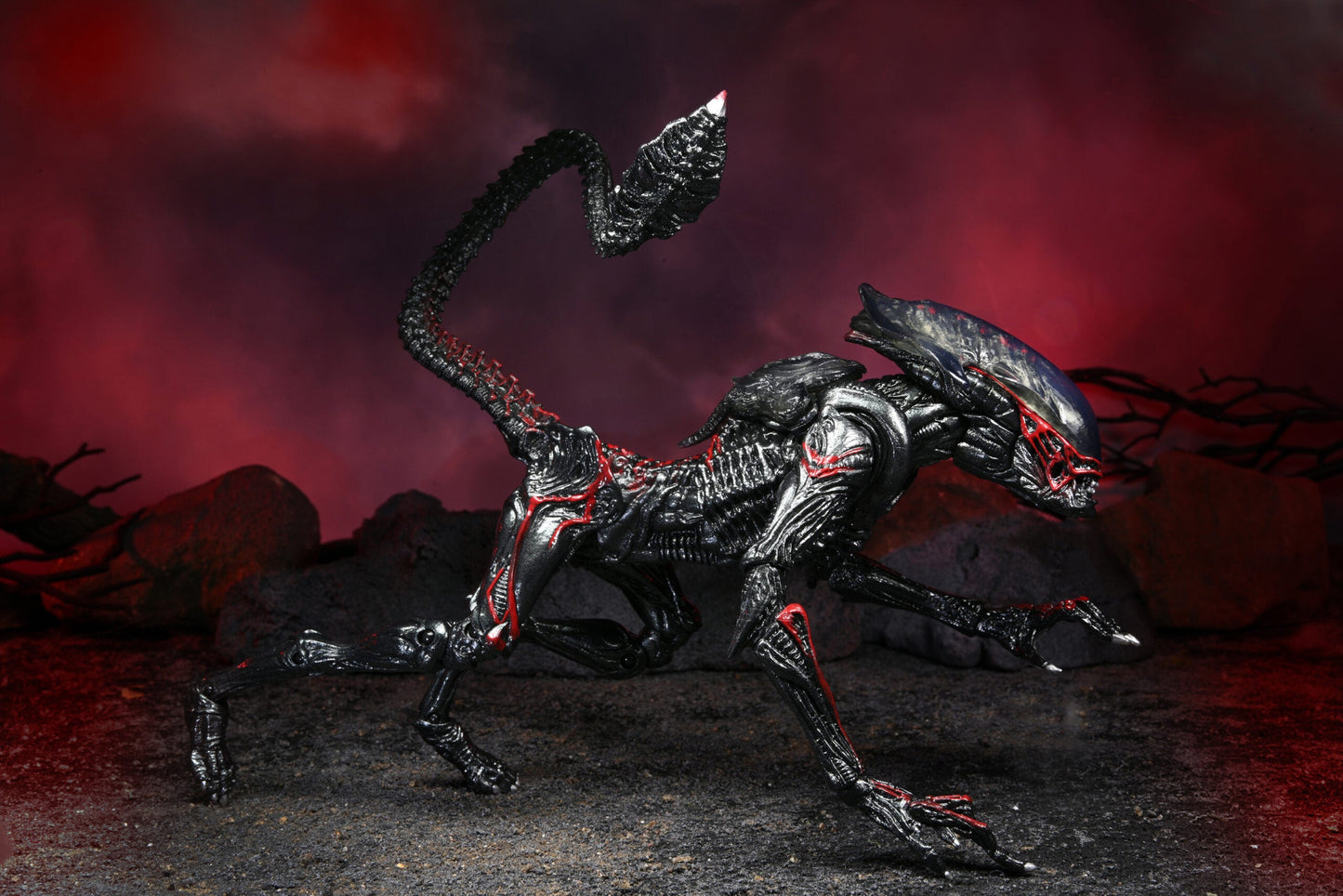Alien - Night Cougar Kenner Tribute Ultimate