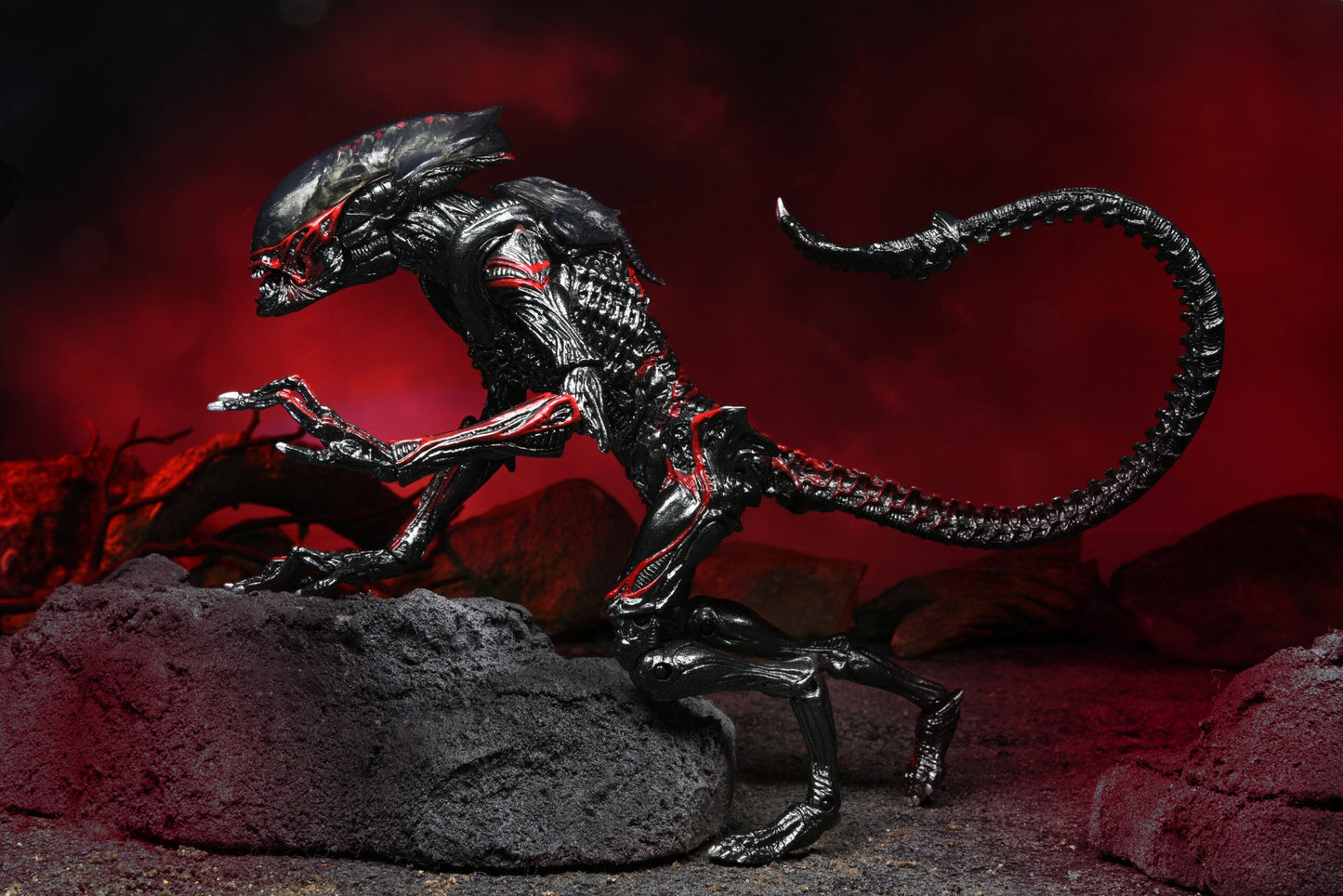 Alien - Night Cougar Kenner Tribute Ultimate