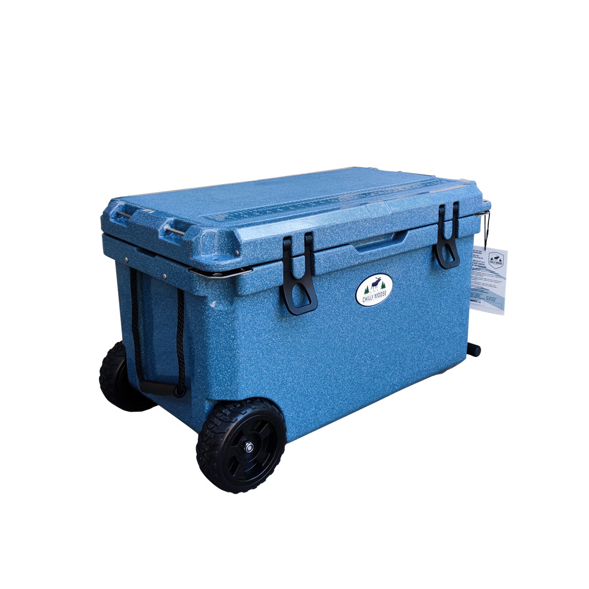 https://cdn.shopify.com/s/files/1/0089/6217/9169/products/DL55-4.jpg?v=1757008823