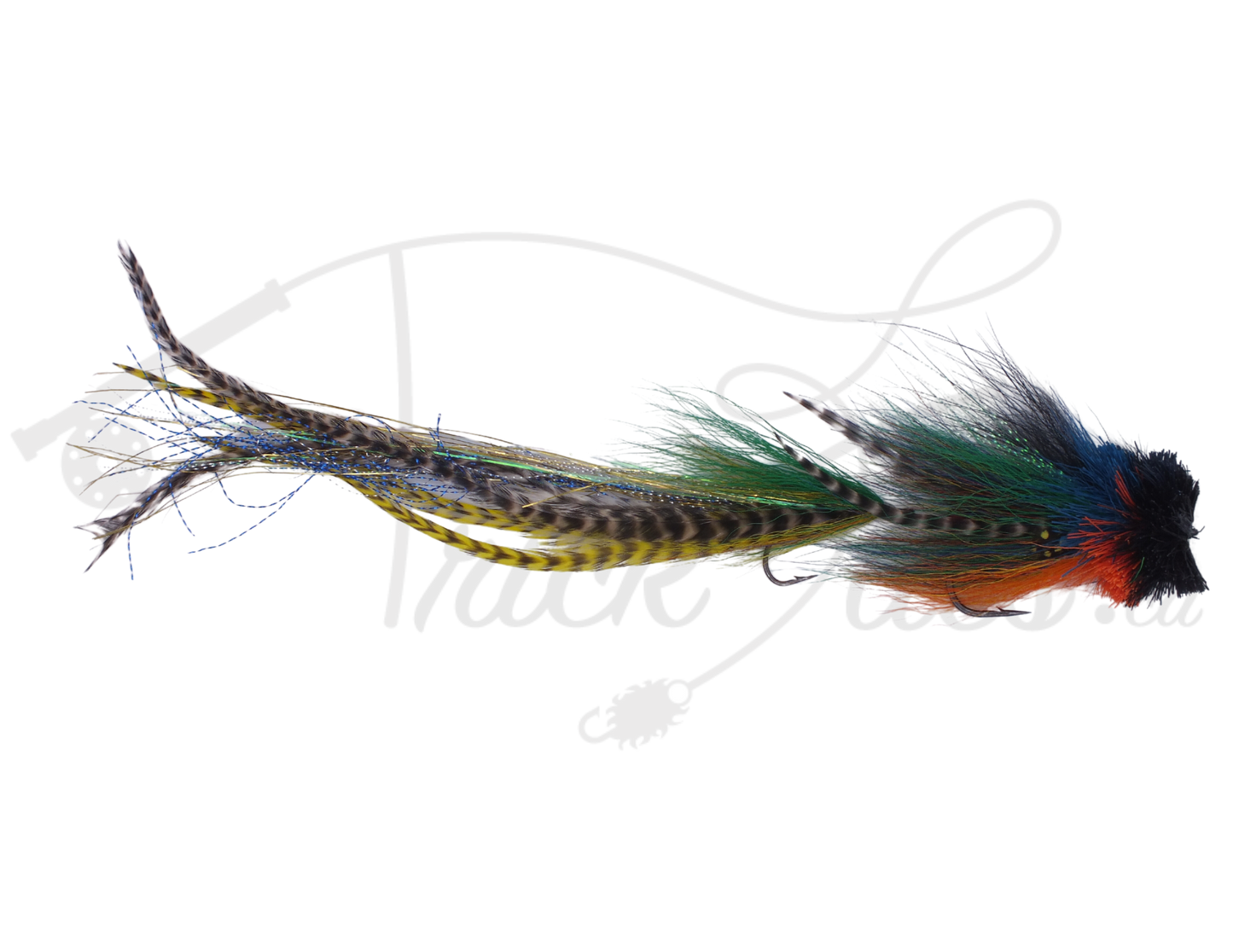 Double Buford Bluegill