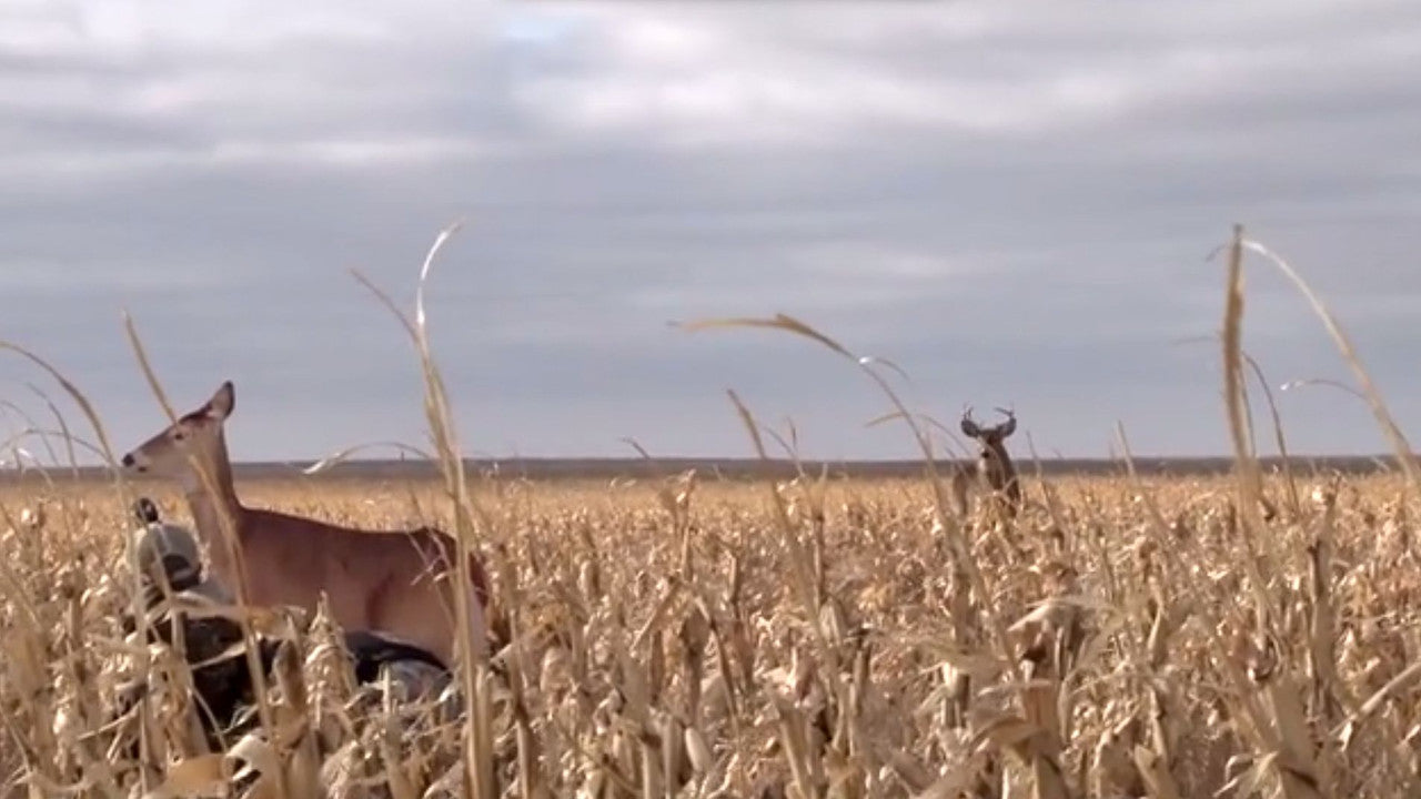 Montana Decoy Dreamy Doe