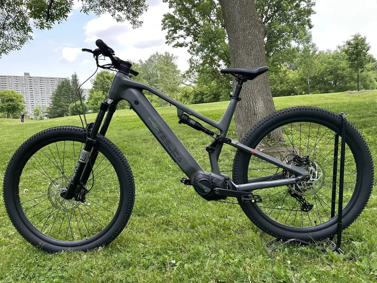 Triumph Mountain eBike (E1H)