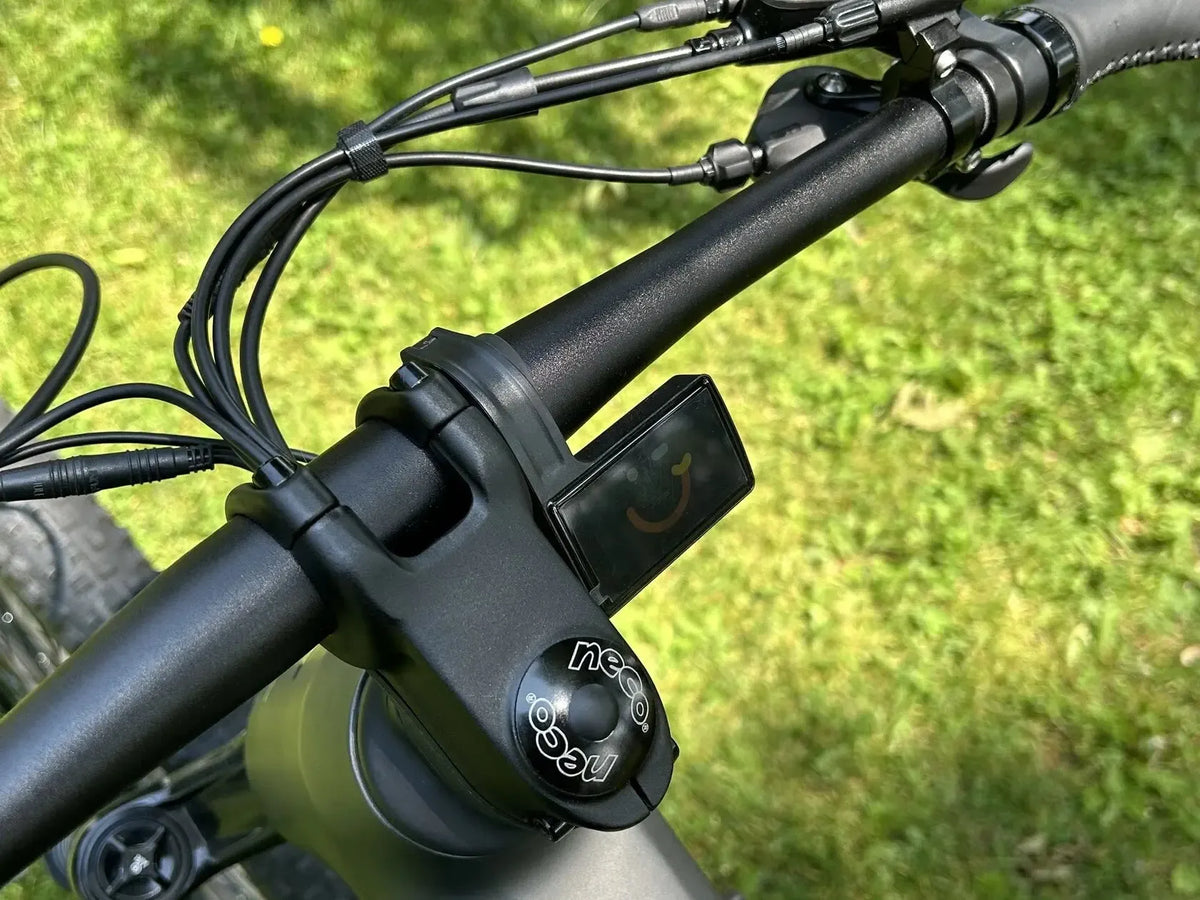 Triumph Mountain eBike (E1H)