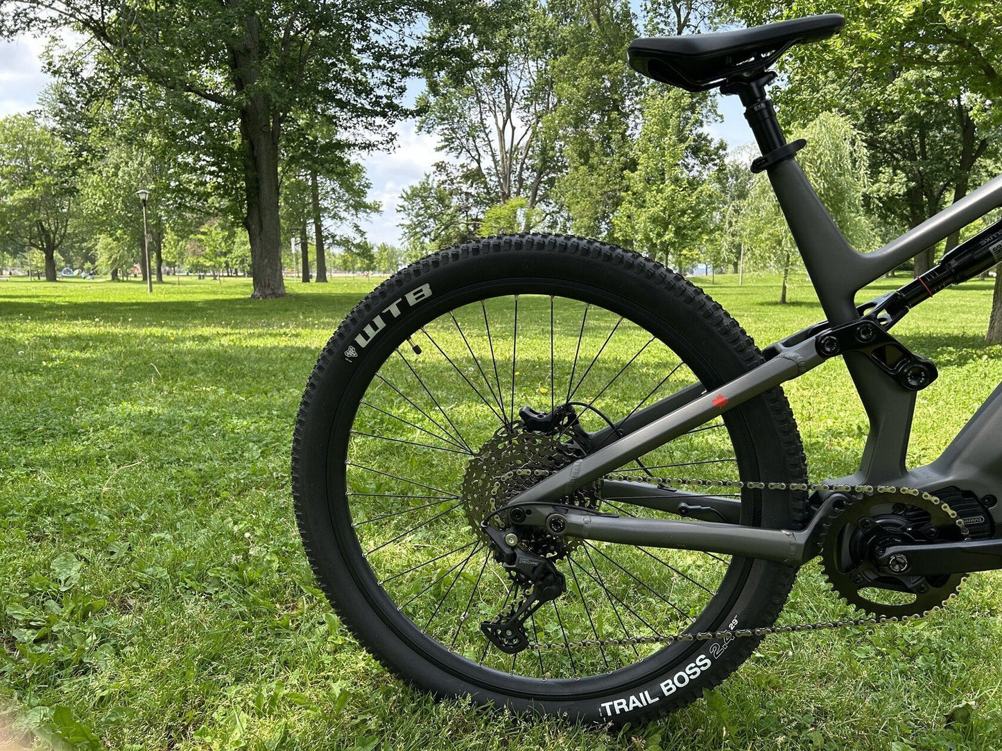 Triumph Mountain eBike (E1H)