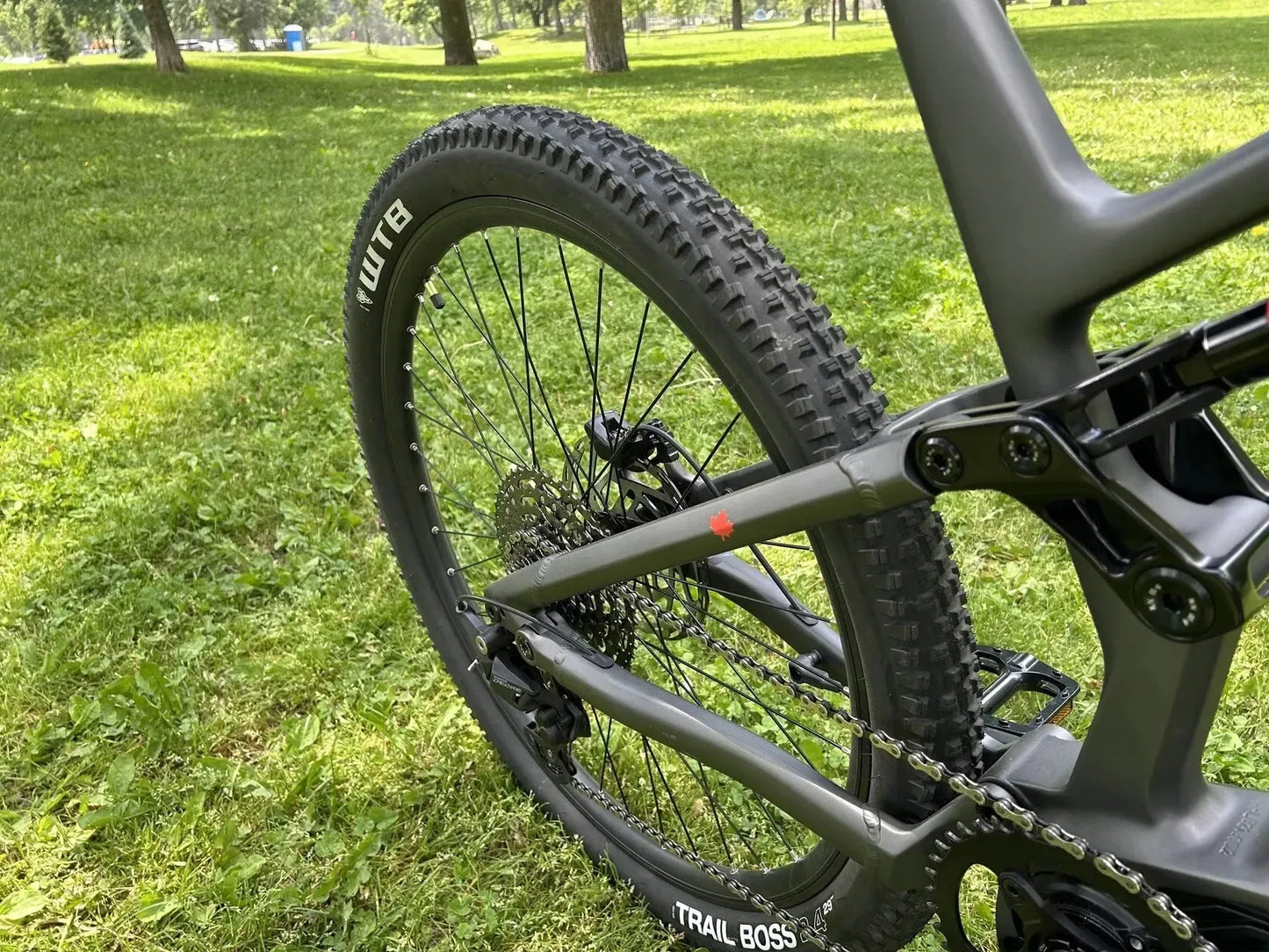 Triumph Mountain eBike (E1H)
