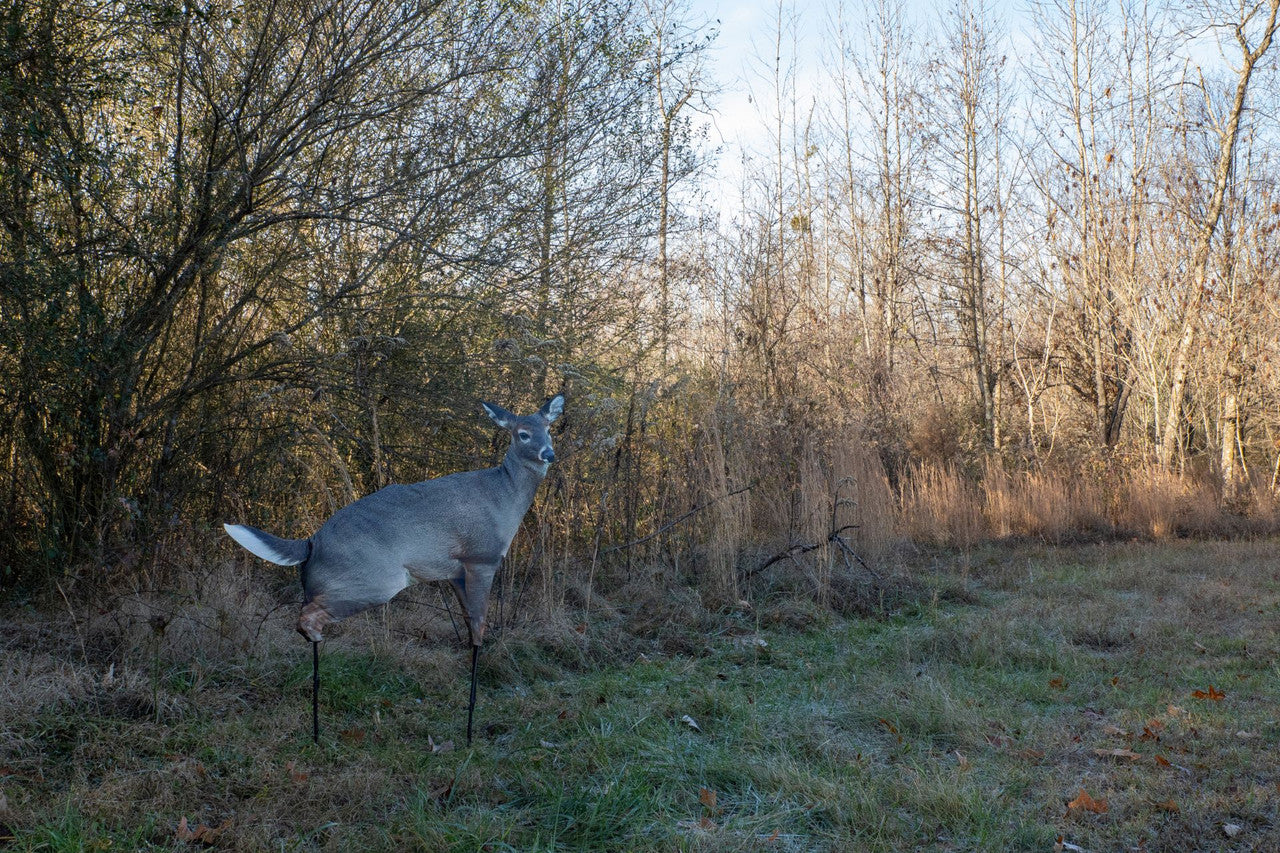 Montana Decoy Estrus Betty Whitetail Decoy