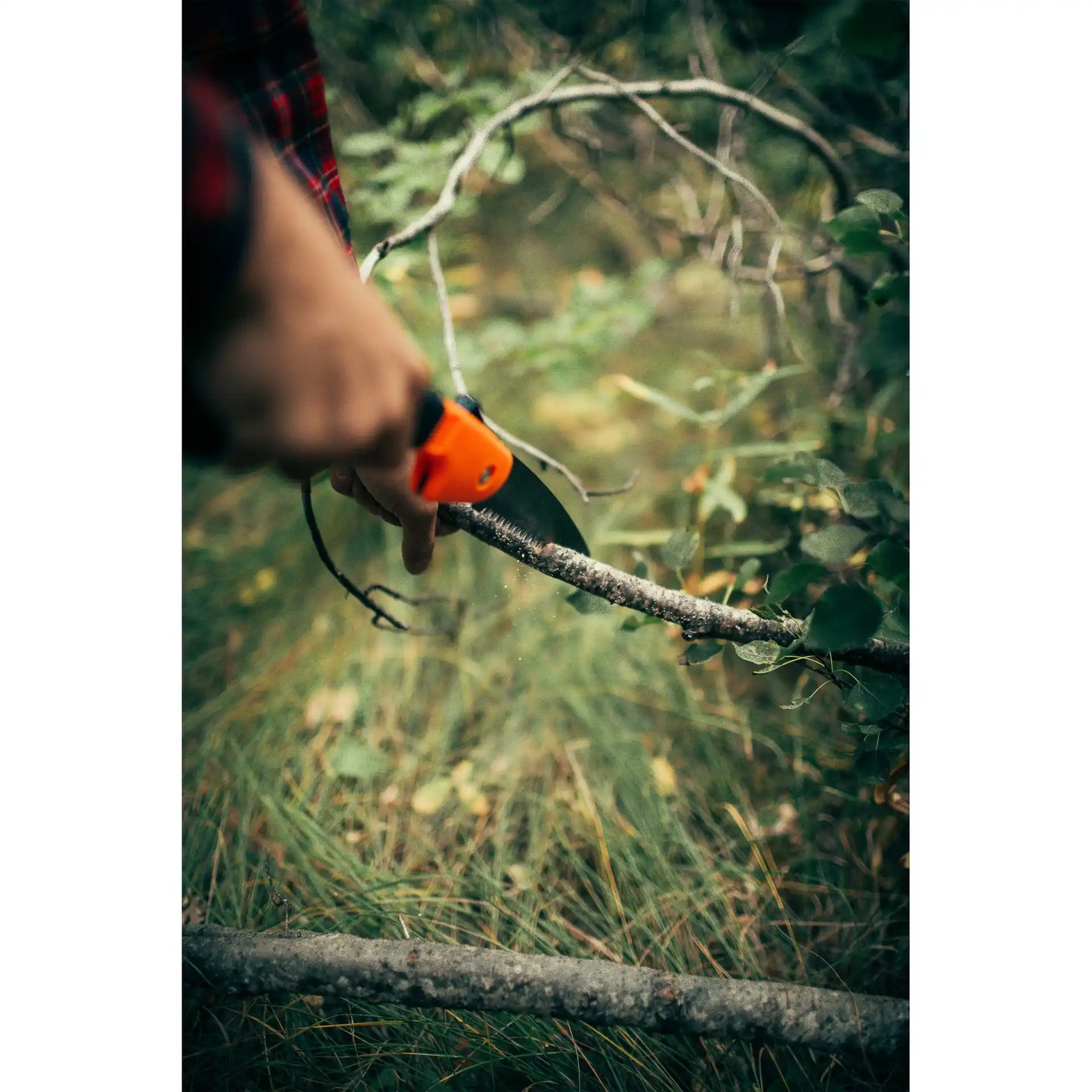 Folding Camper's Saw