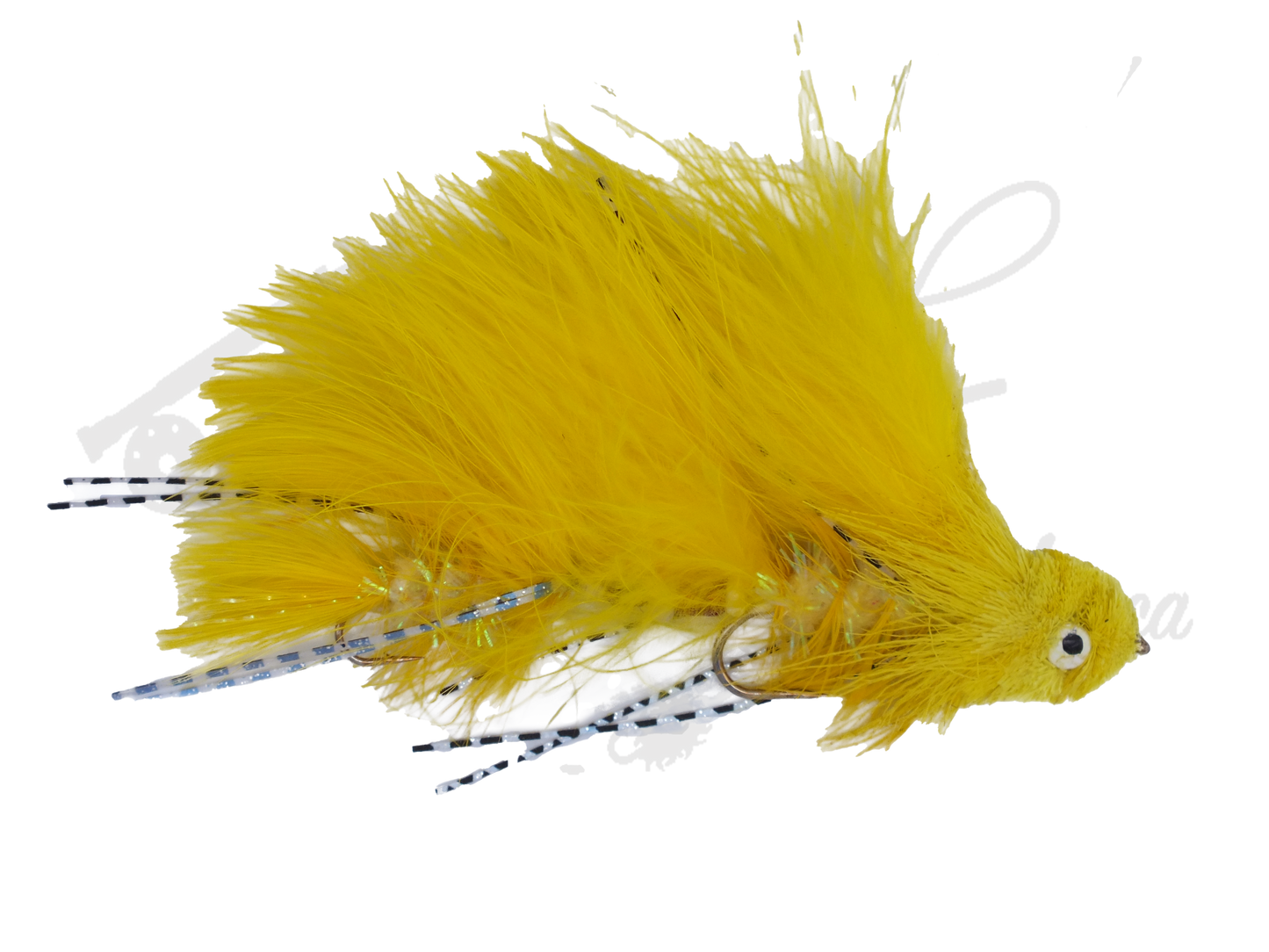 Galloup's Sex Dungeon Yellow