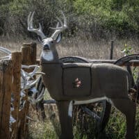 Block Targets - GlenDel Buck