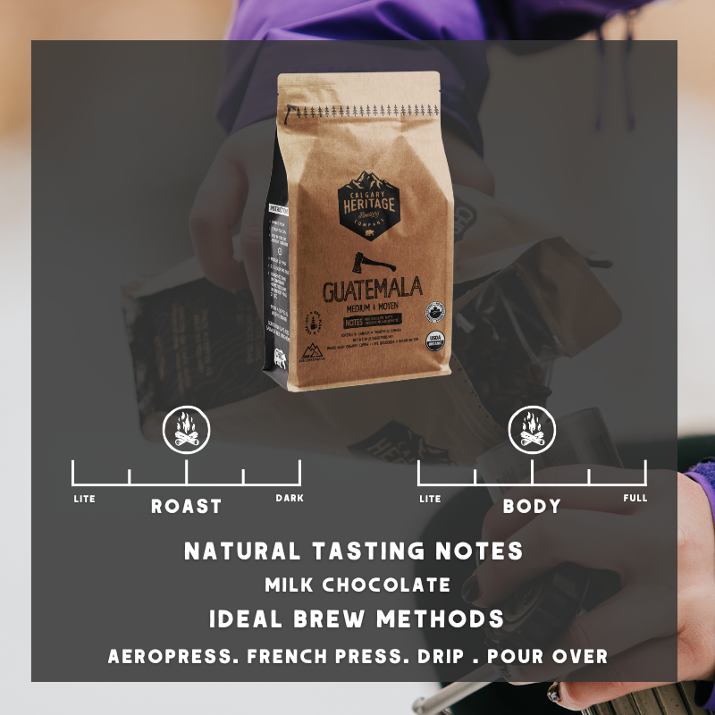 https://cdn.shopify.com/s/files/1/0018/1836/1909/files/Grizzly_Image_2_Hero_10_2d355a31-0437-4832-b971-2582c20e819f.png?v=1738885027