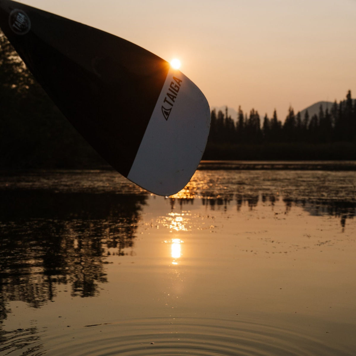 HYBRID PADDLE - Adjustable 2 or 3 pieces