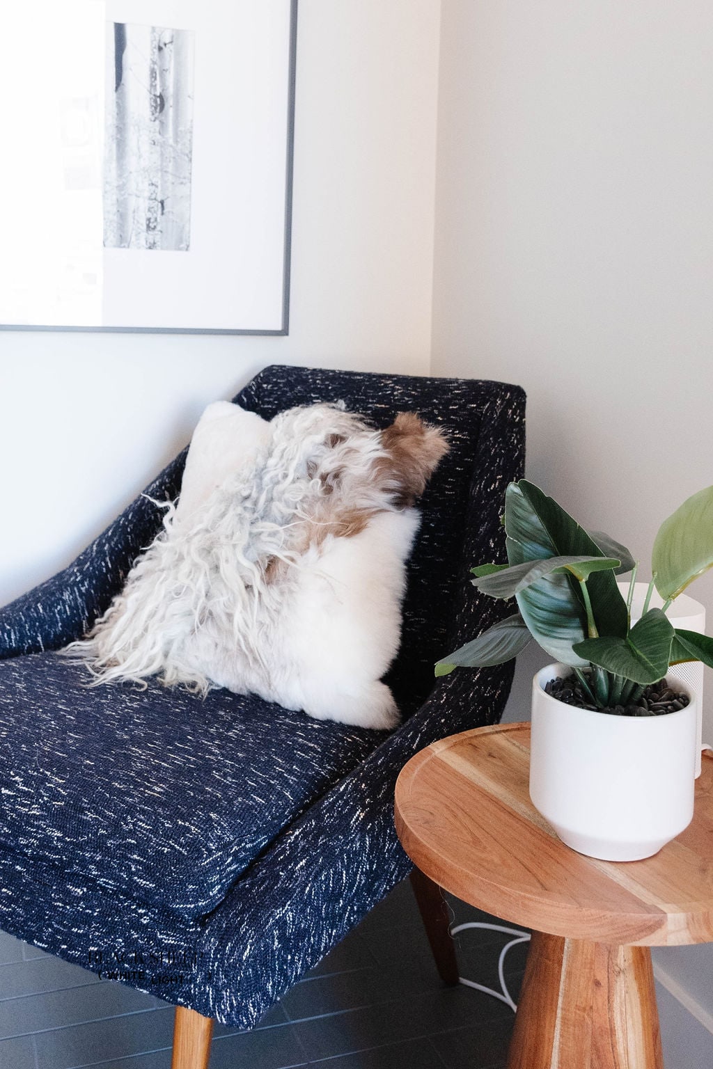 Mélange Sheepskin Pillow, curly wool