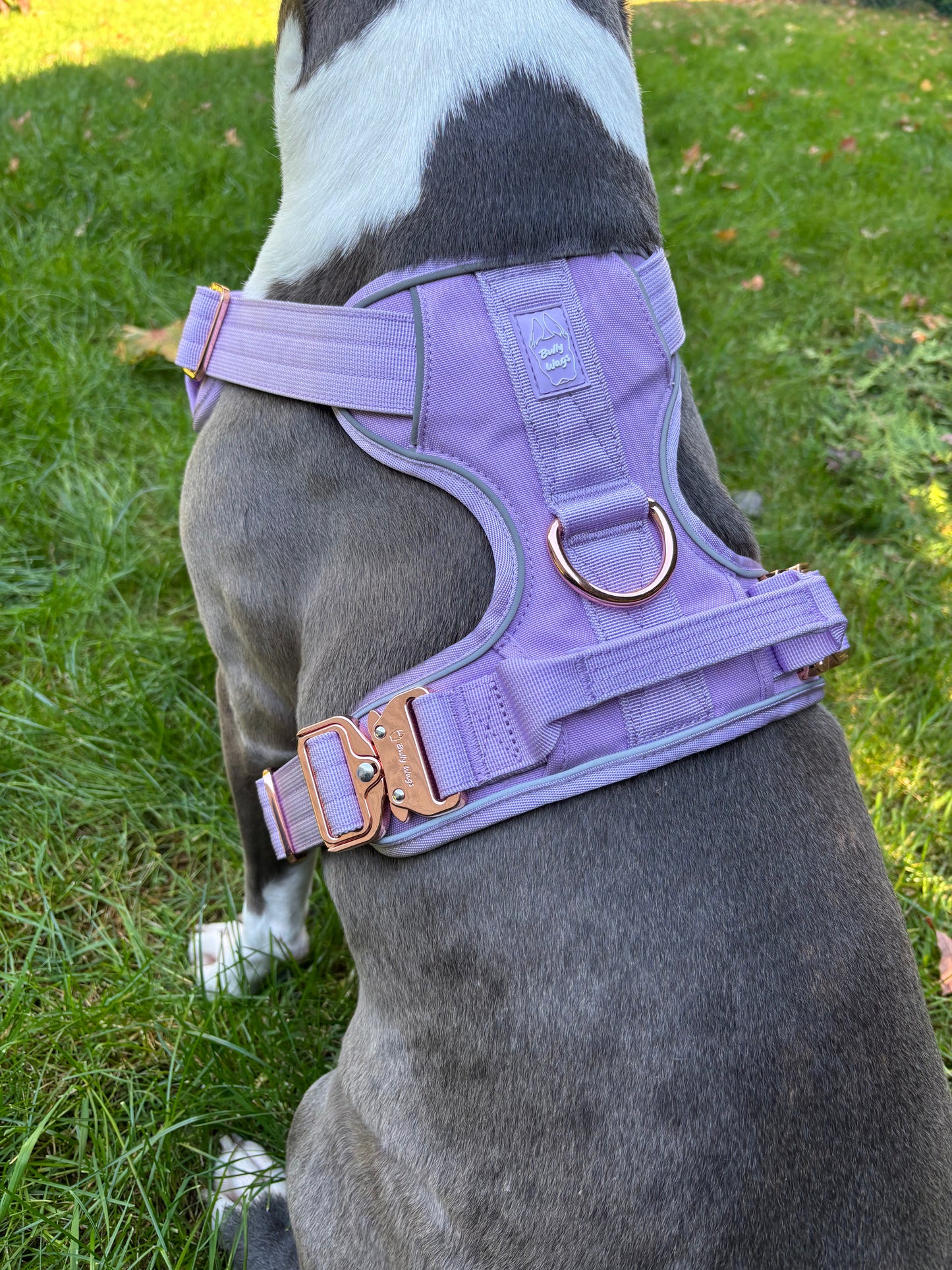 Heavy-Duty Everyday Harness - Lilac