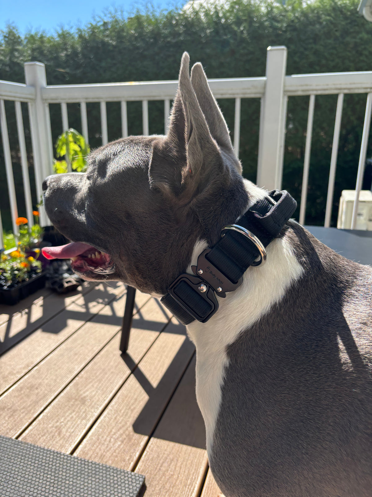 1.5" Tactical Collar with Handle - Black