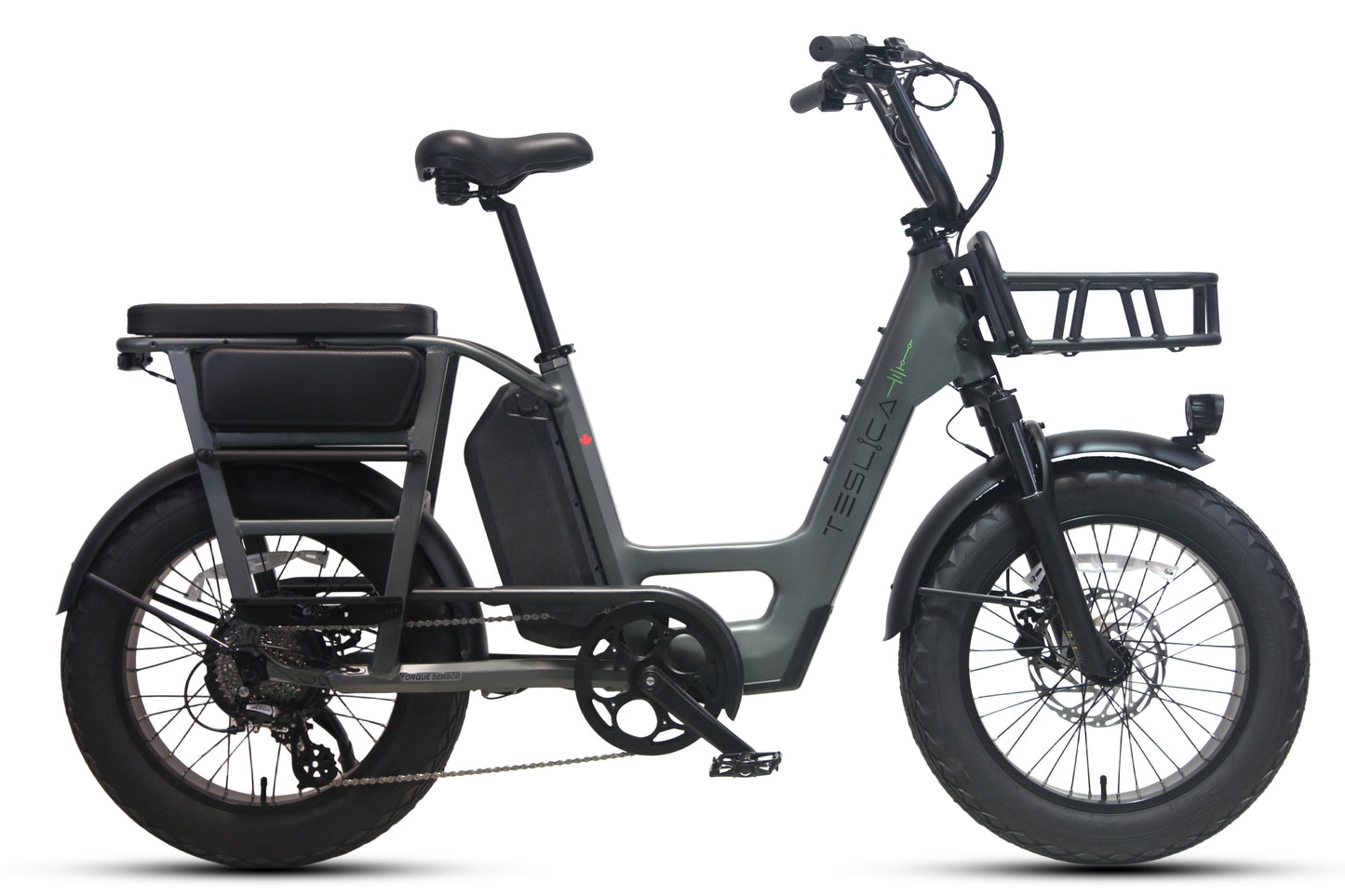 Care-Go Cargo eBike (CG2)