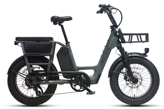 Care-Go Cargo eBike (CG2)