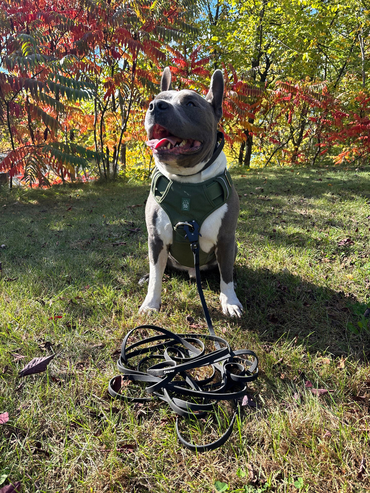 PVC Long Line Leash