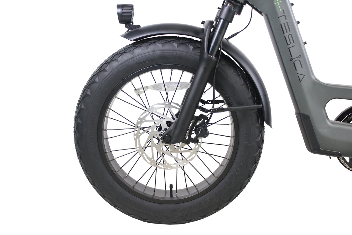 Care-Go Cargo eBike (CG2)