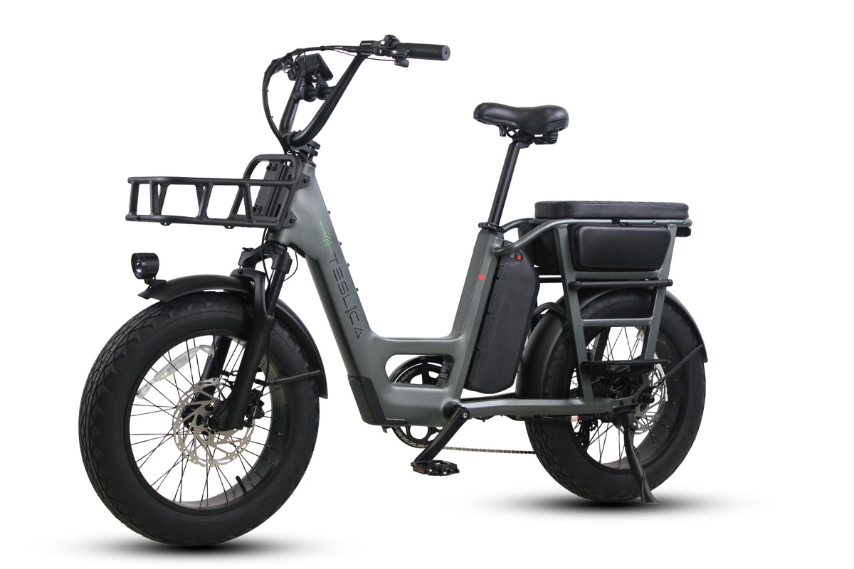 Care-Go Cargo eBike (CG2)
