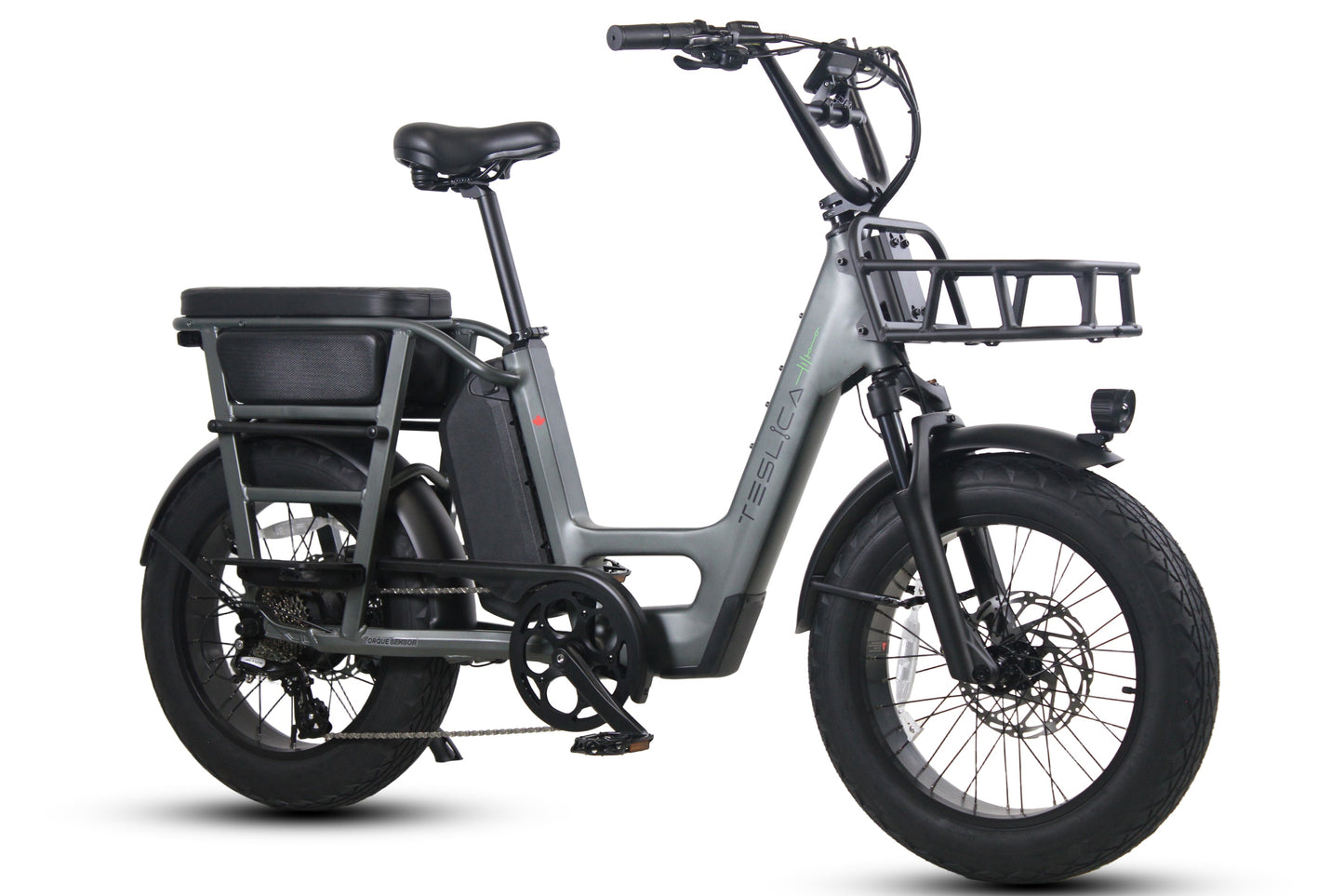 Care-Go Cargo eBike (CG2)