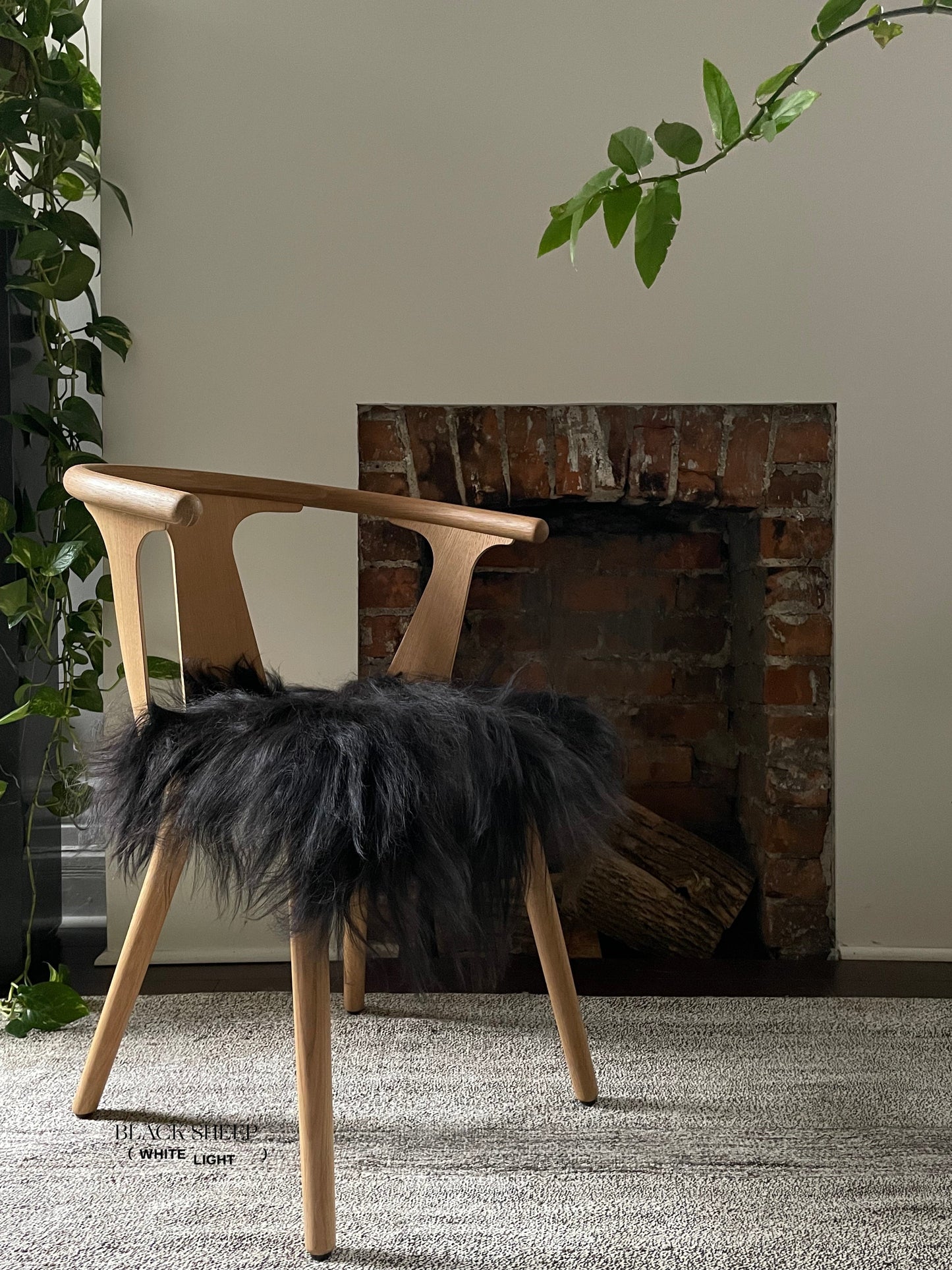 Black Icelandic Sheepskin Chair Pad