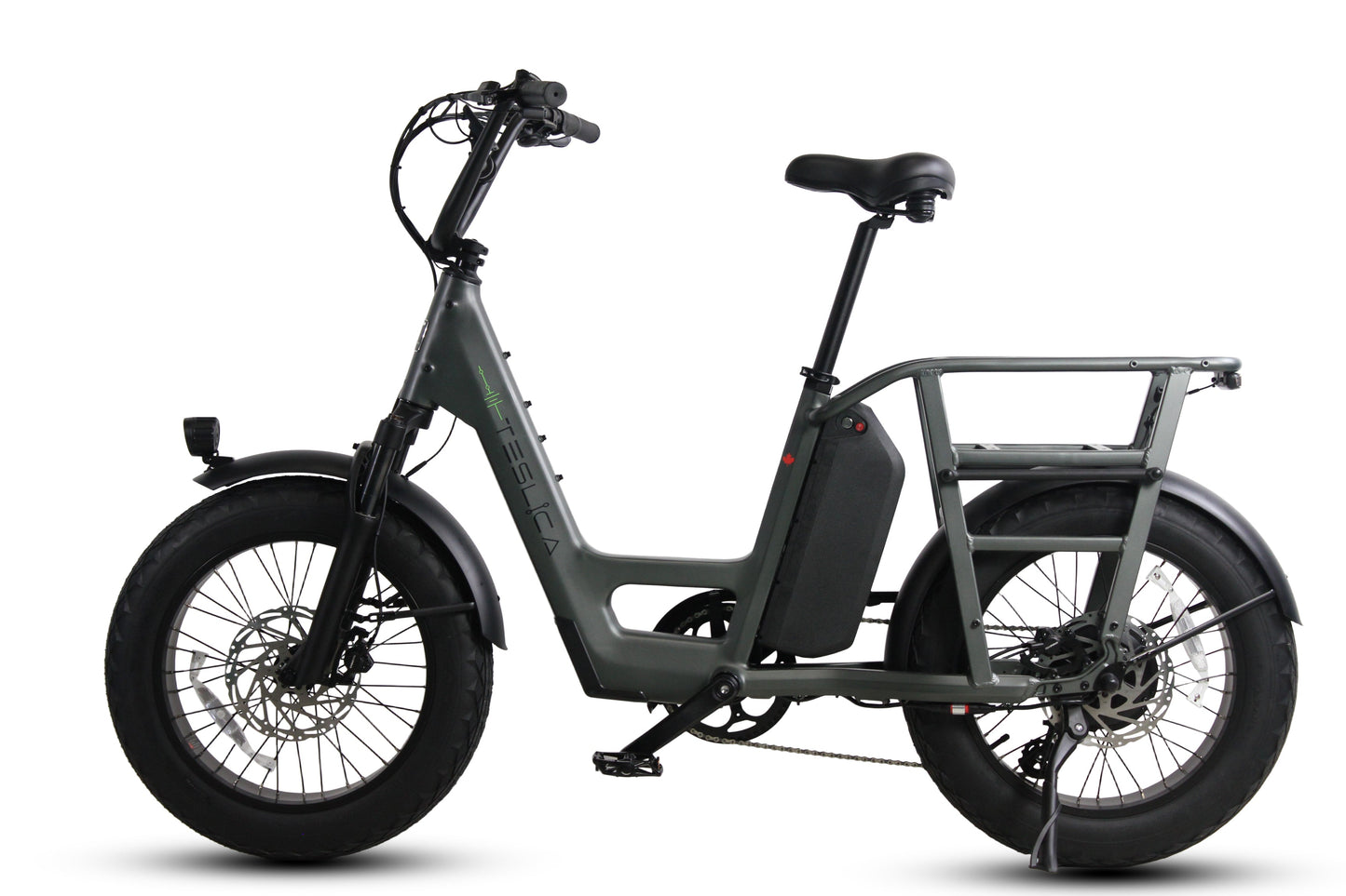 Care-Go Cargo eBike (CG2)