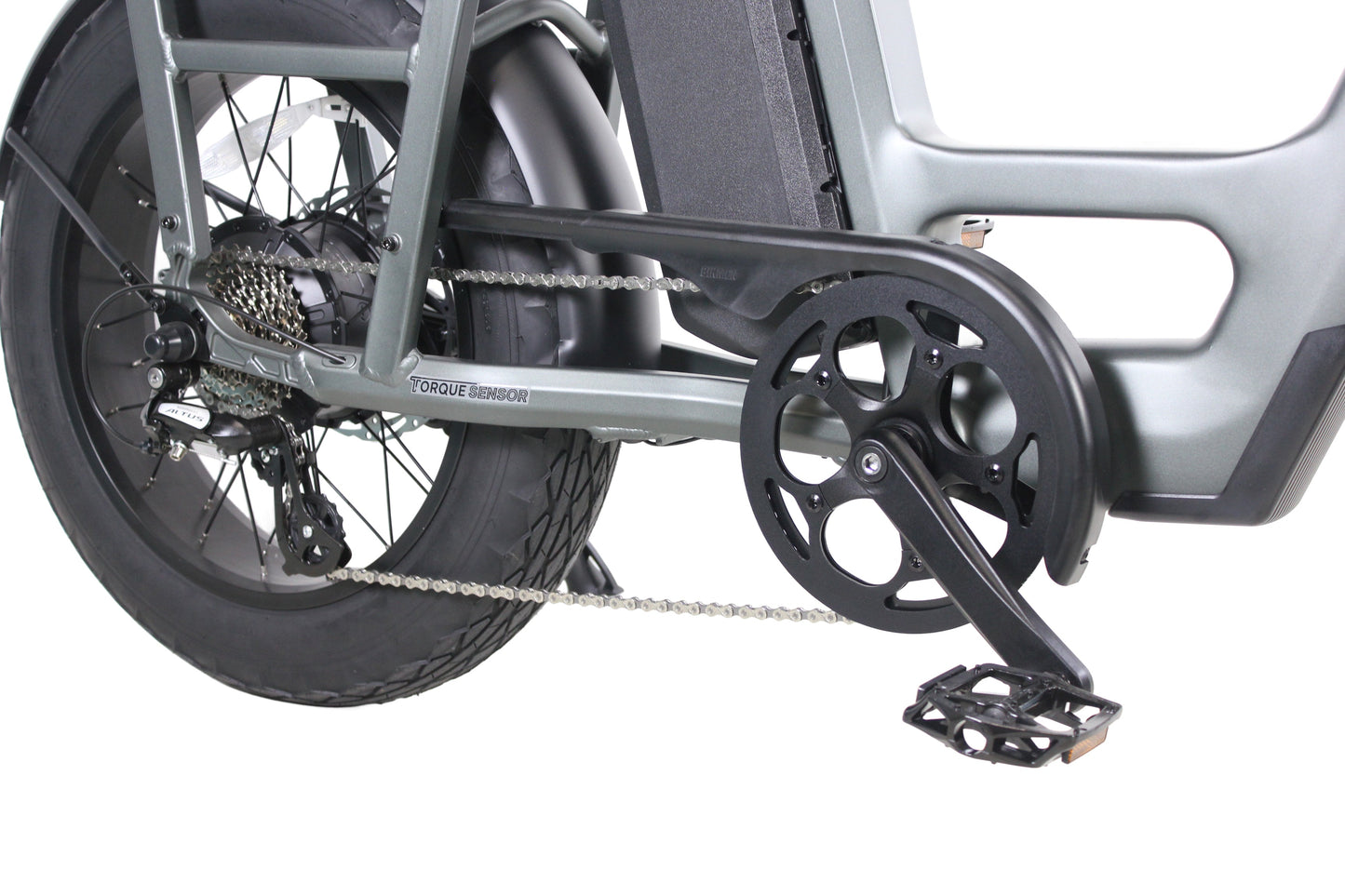 Care-Go Cargo eBike (CG2)