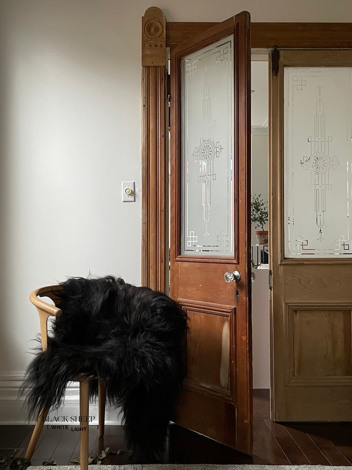 Black Icelandic Sheepskin