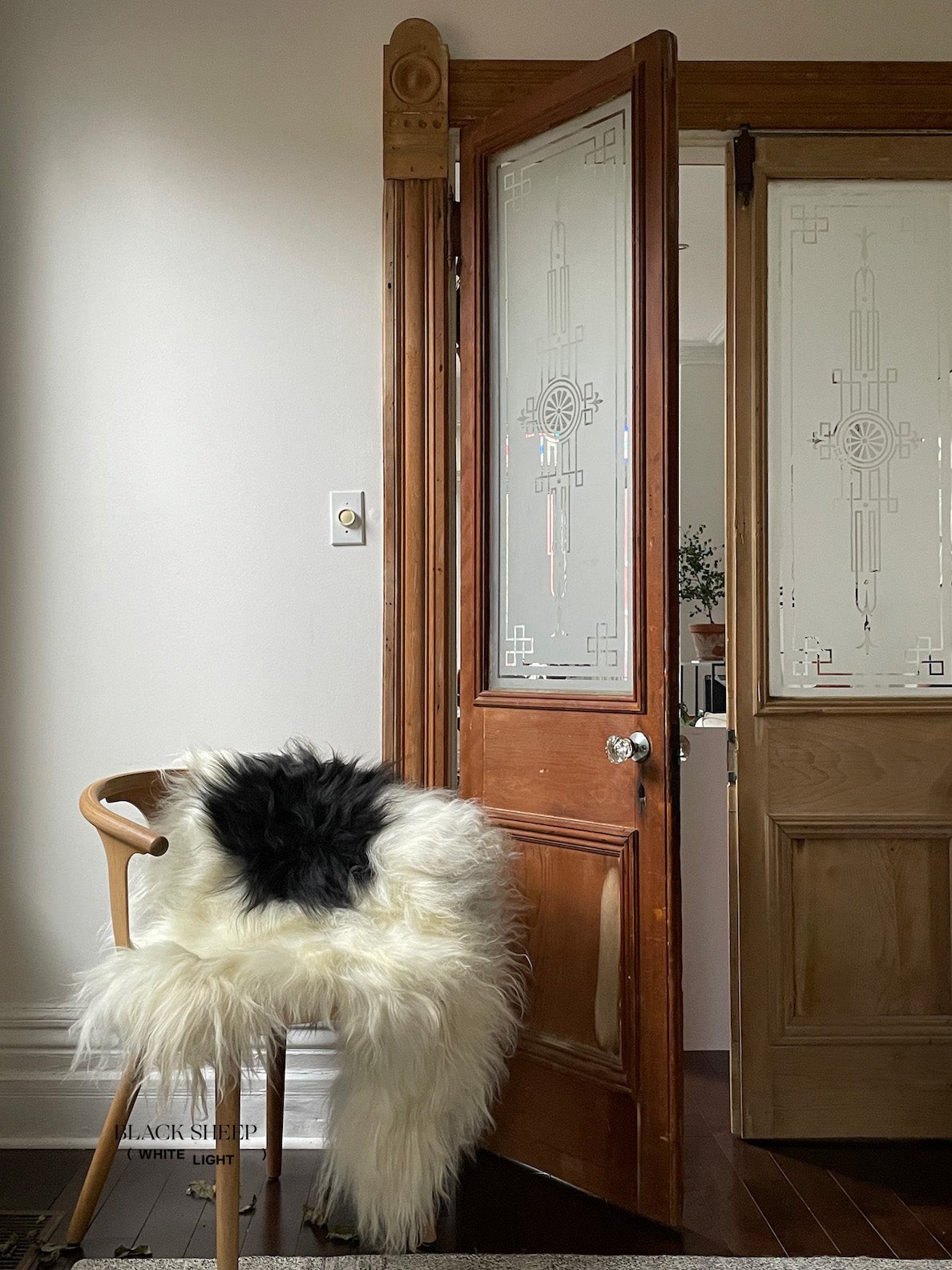 Black Spotted Icelandic Sheepskin | Random