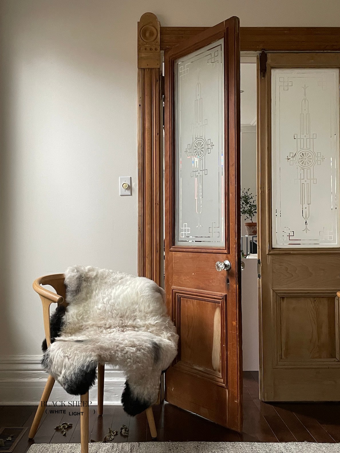 Shorn Dark Grey Edge Icelandic Sheepskin