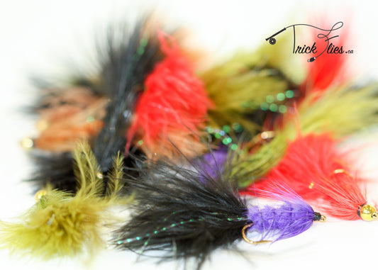 Woolly Bugger 21 Fly Collection