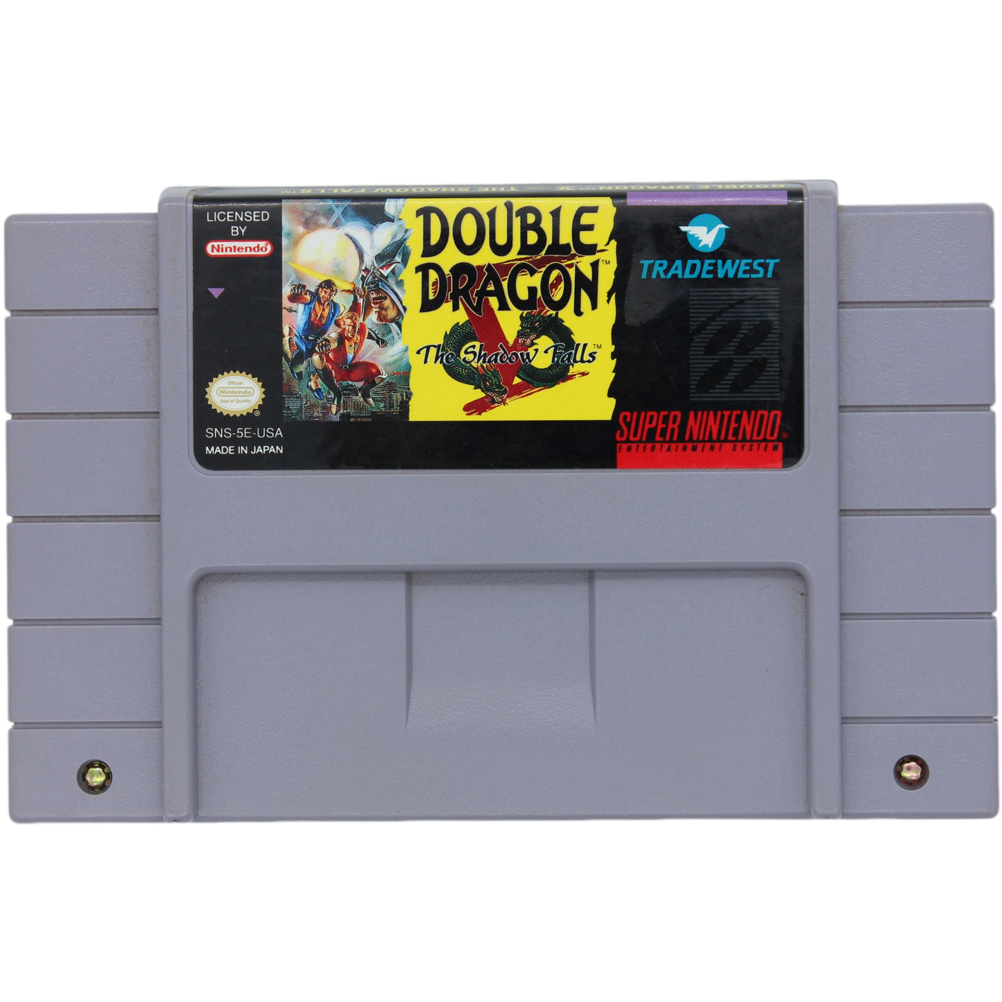 Double Dragon V: The Shadow Falls