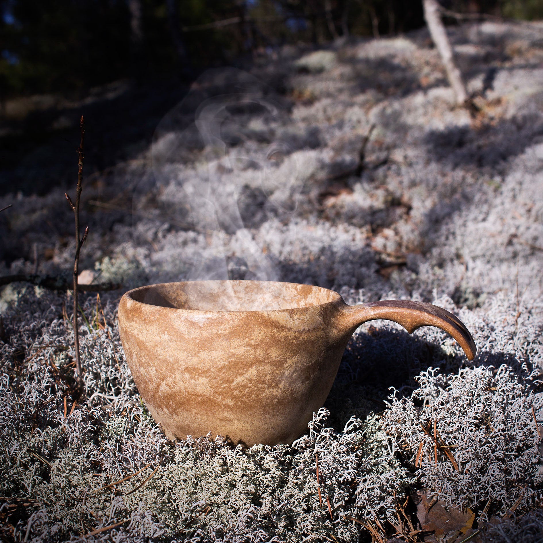 https://cdn.shopify.com/s/files/1/0813/4882/1276/files/Kupilka_cup_37_Original_on_lichen.jpg?v=1754913724