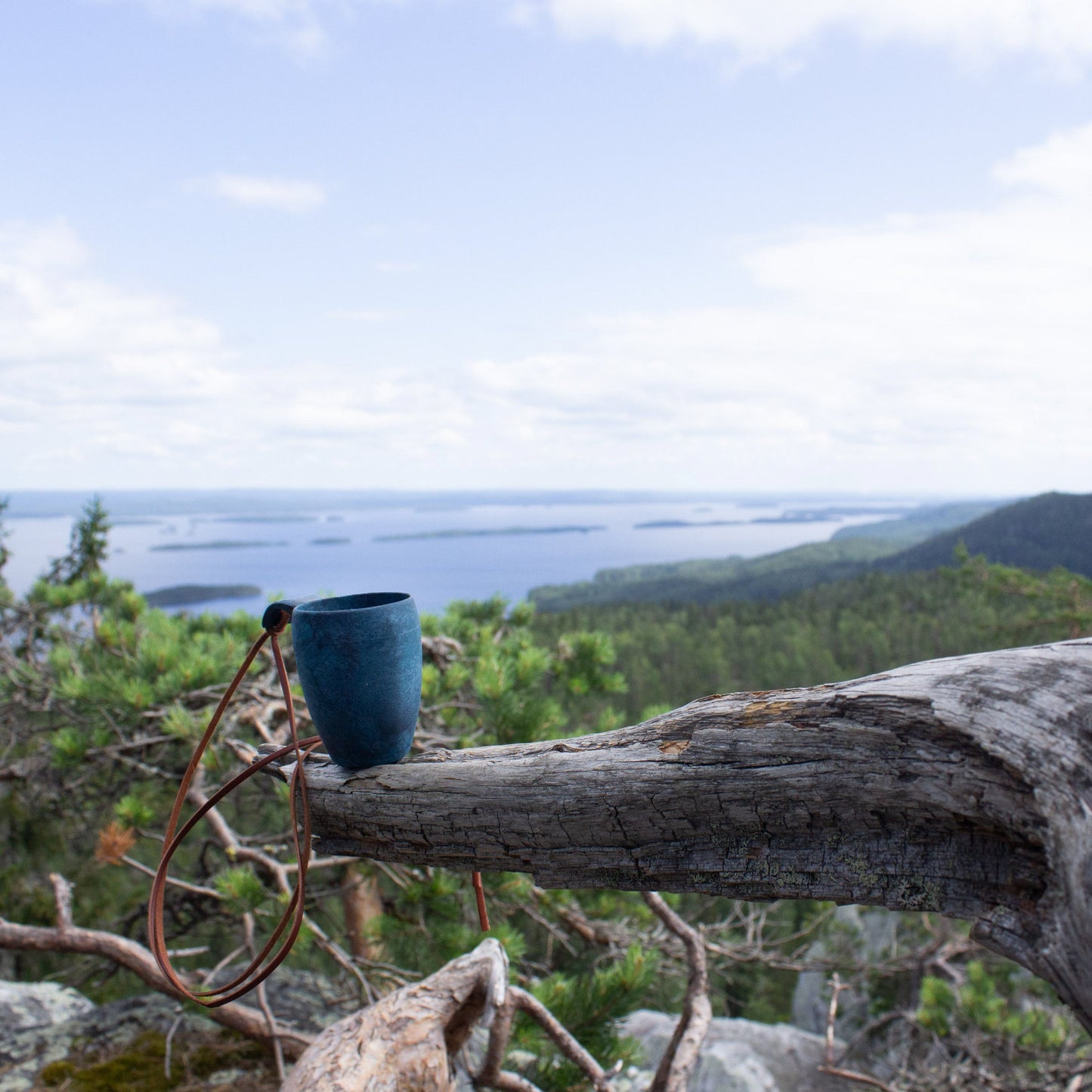 https://cdn.shopify.com/s/files/1/0813/4882/1276/files/Kupilka_cup_5_Blueberry_blue_5.jpg?v=1755514827